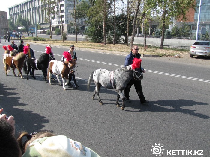 Пони