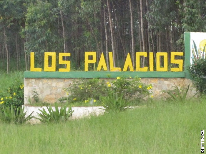 Los Palacios