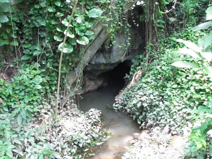 Пещера в джунглях