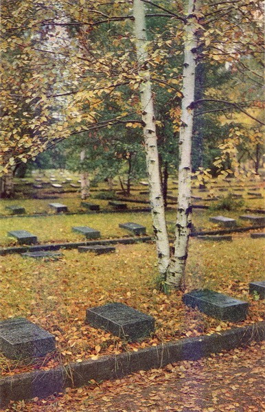 Одна из братских воинских могил