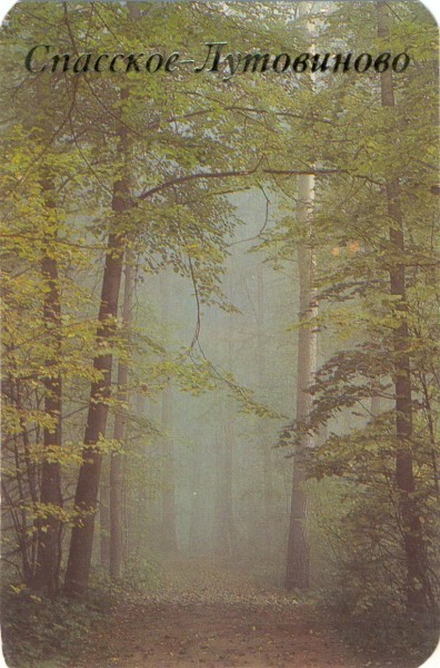 Аллея в парке