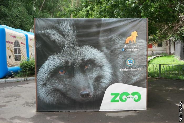 Алматинский зоопарк