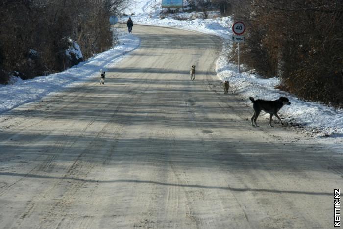 Трасса