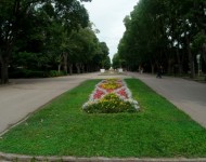 Клумба